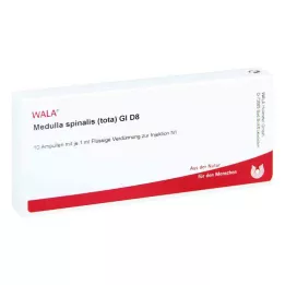 MEDULLA SPINALIS tota GL D 8 ampullid, 10X1 ml