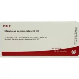 GLANDULAE SUPRARENALES GL D 8 ampulli, 10X1 ml