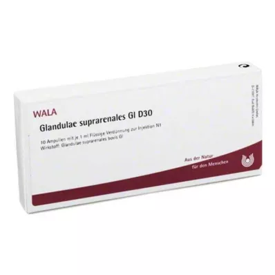 Glandulae suprarenalis GL D 30 ampullid, 10X1 ml