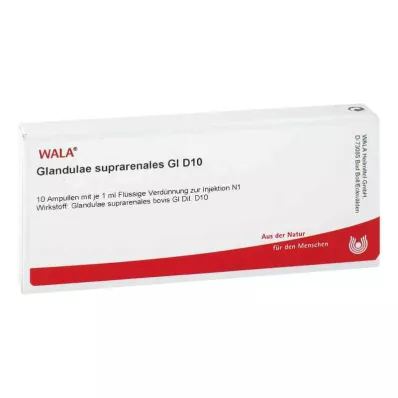 Glandulae supraren.Gl D10 ampullid (10x1 ml)