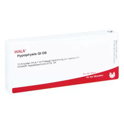HYPOPHYSIS GL D 5 ampulli, 10X1 ml