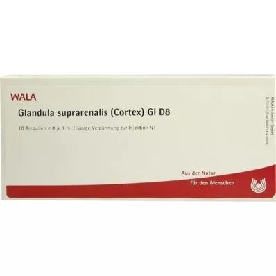 GLANDULA SUPRARENALIS cortex GL D 8 ampulli, 10X1 ml