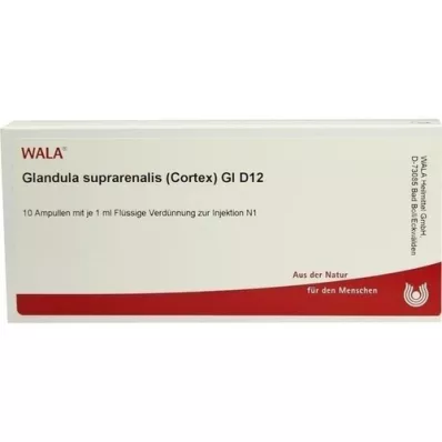 GLANDULA SUPRARENALES cortex GL D 12 ampulli, 10X1 ml