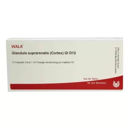 GLANDULA SUPRARENALES cortex GL D 12 ampulli, 10X1 ml