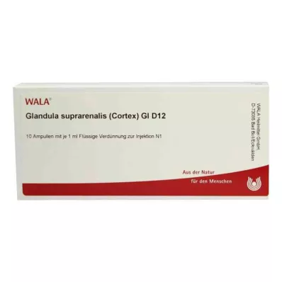 Neeruülene nääre.Cort.Gl D12 ampullid (10x1 ml) Neeruülene nääre.Cort.Gl D12 ampullid (10x1 ml)