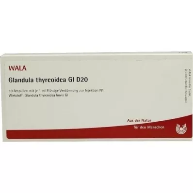 GLANDULA THYREOIDEA GL D 20 ampulli, 10X1 ml
