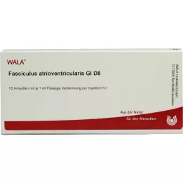 FASCICULUS atrioventricularis GL D 8 ampulli, 10X1 ml