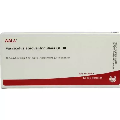 FASCICULUS atrioventricularis GL D 8 ampulli, 10X1 ml