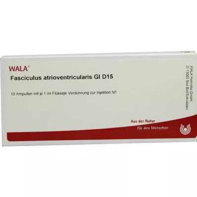 FASCICULUS atrioventricularis GL D 15 ampulli, 10X1 ml