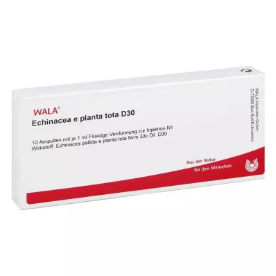 ECHINACEA E planta tota D 30 ampulli, 10X1 ml