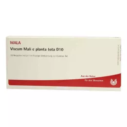 VISCUM MALI e planta tota D 10 ampulli, 10X1 ml