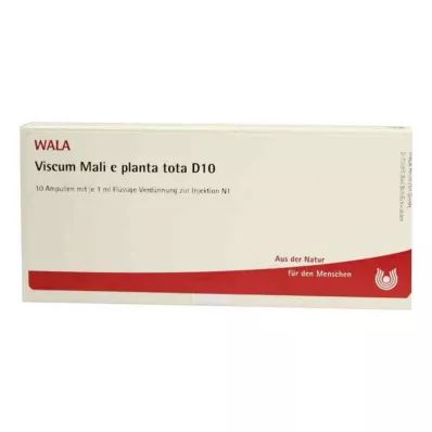VISCUM MALI e planta tota D 10 ampulli, 10X1 ml
