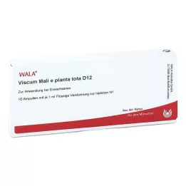VISCUM MALI e planta tota D 12 ampulli, 10X1 ml