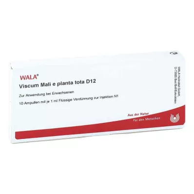 VISCUM MALI e planta tota D 12 ampulli, 10X1 ml