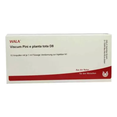 Viscum Pini e planta tota D8 ampullid (10x1 ml)