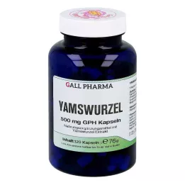 YAMSWURZEL 500 mg GPH kapslid, 120 tk
