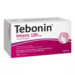 TEBONIN intensiivsed 120 mg õhukese polümeerikattega tabletid, 200 tk