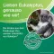 SOLEDUM Vedel palsam, 20 ml