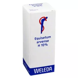 EQUISETUM ARVENSE H 10% õline liniment, 50 ml