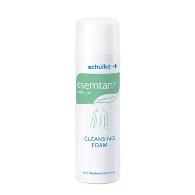 Esemtan puhastus ja hooldus, 500 ml
