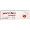 DENTINOX Geel N hammastamisabi, 10 g