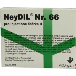 NEYDIL nr.66 pro injectione St.2 ampullid, 5X2 ml