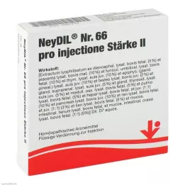 NEYDIL nr.66 pro injectione St.2 ampullid, 5X2 ml
