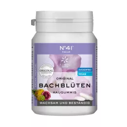 KONZENTRATION närimiskummi Dr.Bachi järgi, 40 tk