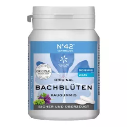 SELBSTVERTRAUEN närimiskummi Dr.Bachi järgi, 40 tk