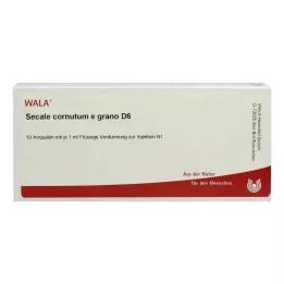 SECALE CORNUTUM E grano D 6 ampulli, 10X1 ml