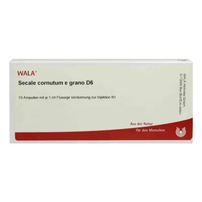 Secale Cornutum E Grano D6 ampullid (10x1 ml) Secale Cornutum E Grano D6 ampullid (10x1 ml)