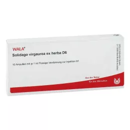 SOLIDAGO VIRGAUREA ex herba D 6 ampulli, 10X1 ml