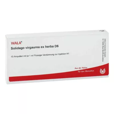 SOLIDAGO VIRGAUREA ex herba D 6 ampulli, 10X1 ml