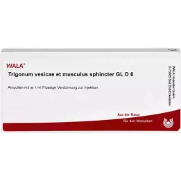 TRIGONUM vesicae et Musculus sphincter GL D 6 Amp., 10X1 ml