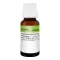REVET H 5 globulid lemmikloomadele, 10 g
