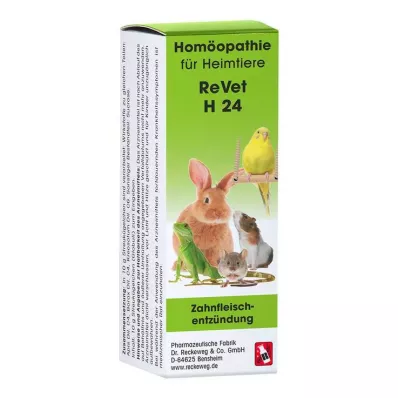 REVET H 24 Gloobulid lemmikloomadele, 10 g