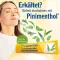 PINIMENTHOL Külmavõie Eucal./Pine./Menth., 100 g