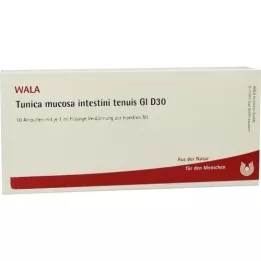 TUNICA mucosa intestini tenuis GL D 30 ampulli, 10X1 ml