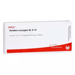 VERTEBRA coccygea GL D 12 ampulli, 10X1 ml