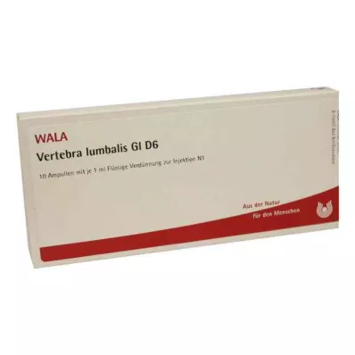 VERTEBRA lumbalis GL D 6 ampulli, 10X1 ml
