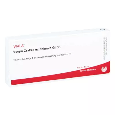 Vespa Crabro Ex Animale Gl D6 ampullid (10x1 ml)