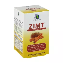 ZIMT KAPSELN 500 mg+C+E-vitamiin, 120 tk