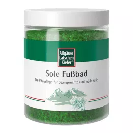 ALLGÄUER LATSCHENK. Soolvee jalavann, 350 g