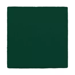 MULLKOMPRESSEN 10x10 cm 12x roheline, 100 tk