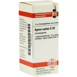 AGNUS CASTUS D 30 kapslit, 10 g