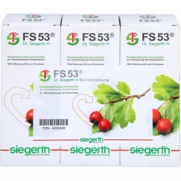 FS 53 Dr.Siegerth H vedelik, 3X100 ml