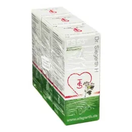 FS 53 Dr.Siegerth H vedelik, 3X100 ml