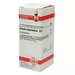 ARUNDO mauritanica D 6 kapslit, 10 g
