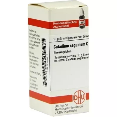 CALADIUM seguinum C 30 kapslit, 10 g