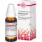 CARDIOSPERMUM D 12 Lahjendus, 20 ml